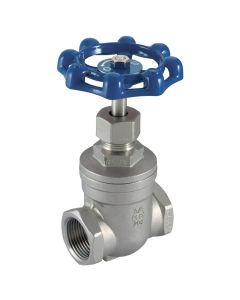 Stainless Steel Gate Valve - 2" BSPP