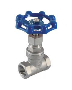 Stainless Steel Globe Valve - 1/4" BSPP